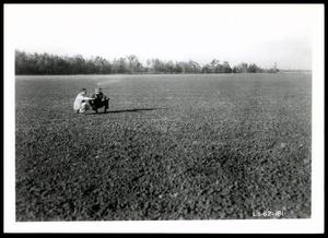 Two UNIDENTIFIED Men Kneeling in Land Leveling Just After Completion on the Osceola Plantation