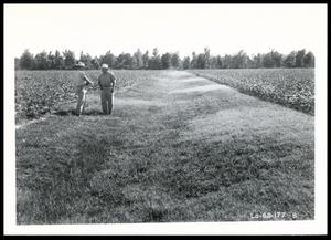 Primary view of object titled 'Two UNIDENTIFIED Men Standing in Lateral Constructed in the Spring of 1946 and Seeded to Kobe Lespedeza on the D. N. and W. L. Koll Farm'.