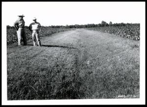 Alternate View of Two UNIDENTIFIED Men Standing in Lateral Constructed in the Spring of 1946 and Seeded to Kobe Lespedeza on the D. N. and W. L. Koll Farm