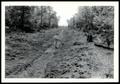 Primary view of An UNIDENTIFIED Man Standing in the Channel of Main Drainage Ditch #1 at Station 1 & 25 After Removal of Stumps and Completion of Dragline Operations