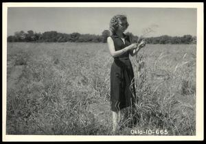 Jan Vaniman Holding Blue Panicum Grass Planted by Clyde Hardy