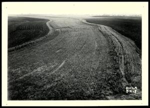 Oats and Cotton Drilled on Contour and Terraces on the Frank DeVorak Farm/Stillwater District/Stillwater Project