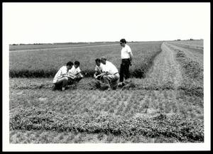 Ronald Rogers Alongside Four Turkish Agricultural Engineers Studying Sedimentation Problems and Crop Production on Line Creek