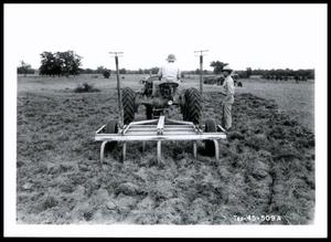 Primary view of object titled 'UNIDENTIFED Man Plowing Bermudagrass Sod With a Graham Hoeme Plow'.