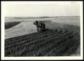 Photograph: UNIDENTIFED Farmer Listing on Contour in Terraced Field in Preparatio…