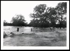 High Flood Water Levels Covering a Field