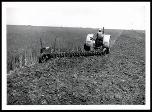 UNIDENTIFED Man on a Tractor Plowing Down Austrian Winter Peas and Oats to Improve Soil and Maintain Organic Material