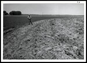 A UNIDENTIFED Man Standing on a Farm Field, Which Uses a Conservation Program of Varying Practices