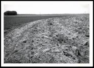 Crop Residue Management Showing Stubble on Ground