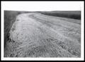 Photograph: .71-Mile Single Field Drain