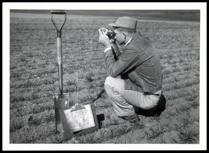 UNIDENTIFED Soil Scientist Conducting a Soil Survey