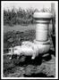 Photograph: Outlet Hydrant for Sprinkler Irrigation