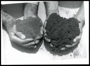 Soil Condition of Two Samples
