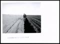 Thumbnail image of item number 1 in: 'Maurice Compton Farm Deep Plowed Dalhart Fine Sandy Loam'.