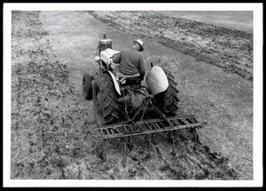 Primary view of object titled 'UNIDENTIFED Man Renovating Bermudagrass with Cultivator'.
