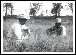 Fowler and Ramsey Inspecting A Field of NK-37 Bermudagrass