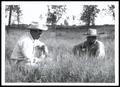 Photograph: Fowler and Ramsey Inspecting A Field of NK-37 Bermudagrass