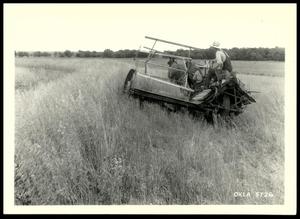 Two UNIDENTIFIED Men Cutting Volunteer Oats on a Terrace With a Binder/Ardmore Project