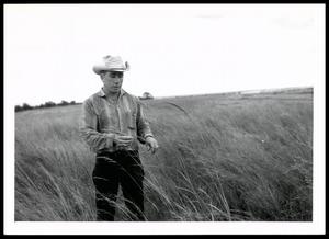 UNIDENTIFED Man Looking At A Excellent Stand of Native Grass Mixture