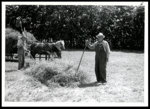 W. O. Lawson Agricultural Number 291 Vetch, Rye, and Hay Pasture
