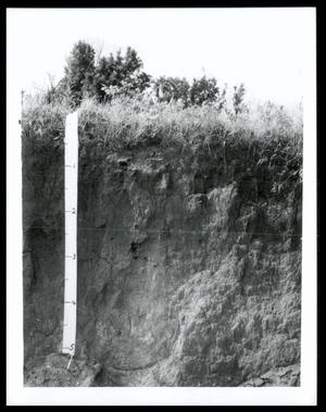 Soil Profile of Gowen Loam