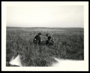 Two UNIDENTIFIED Men Inspecting Grass