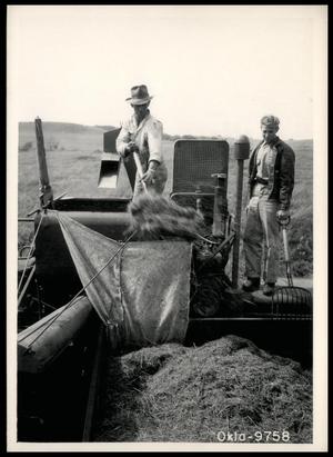 Bob Kendall and Bill Wood Unloading Bluestem Seed Harvested from the Secrest Ranch Into a Truck