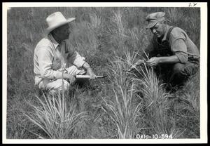 Primary view of object titled 'Eldred and Wilson Studying Grass Growth on 80-Acre Field Seeded to Native Grass Mixture'.