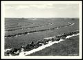 Photograph: Fields Brothers Farm Contour Furrowed Field/Chickasha Project