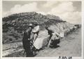 Thumbnail image of item number 1 in: 'WPA Laborers on Highway 44'.