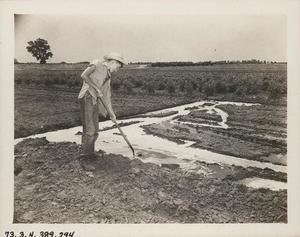 Pre-Irrigation of Field