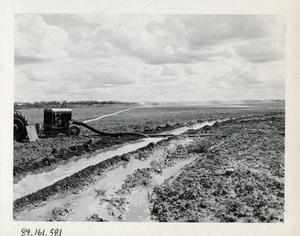 Irrigation, M. H. Carrell