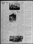 Thumbnail image of item number 2 in: 'The American Guardian (Oklahoma City, Okla.), Vol. 15, No. 45, Ed. 1 Friday, July 20, 1934'.