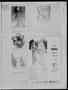 Thumbnail image of item number 3 in: 'Bristow Daily Record (Bristow, Okla.), Vol. 13, No. 273, Ed. 1 Wednesday, March 13, 1935'.