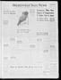 Primary view of Holdenville Daily News (Holdenville, Okla.), Vol. 33, No. 174, Ed. 1 Wednesday, June 8, 1960