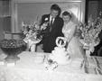 Photograph: E.J. Kramer Wedding