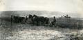Photograph: Two Horse Teams Plowing