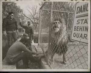 Four Men Outside Lion Cage