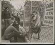 Photograph: Four Men Outside Lion Cage
