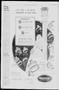 Thumbnail image of item number 4 in: 'The Duncan Banner (Duncan, Okla.), Vol. 68, No. 31, Ed. 1 Thursday, April 21, 1960'.