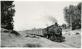 Photograph: Union Pacific (UP) 250