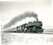 Photograph: Union Pacific (UP) 3121