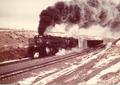 Photograph: Union Pacific (UP) 3985
