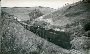 New Zealand Railway (NZR) WAB789 & AB613