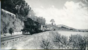 New Zealand Railway (NZR) Q347