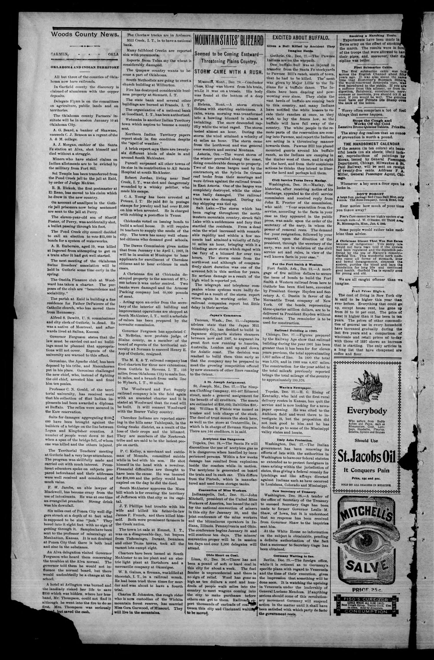 The Woods County News. (Carmen, Okla.), Vol. 4, No. 3, Ed. 1 Friday, January 3, 1902
                                                
                                                    [Sequence #]: 2 of 8
                                                