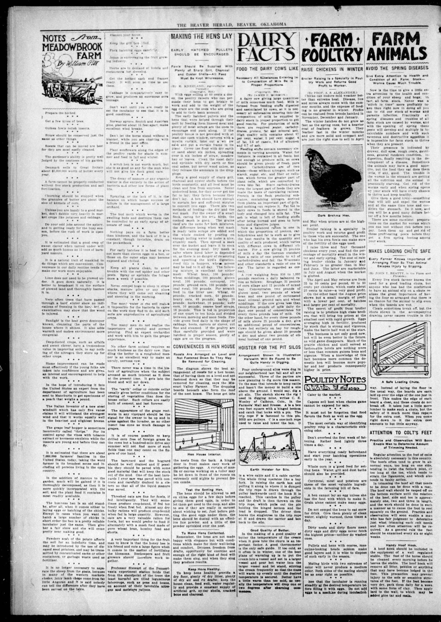 The Beaver Herald. (Beaver, Okla.), Vol. 27, No. 45, Ed. 1, Thursday, April 16, 1914
                                                
                                                    [Sequence #]: 2 of 8
                                                