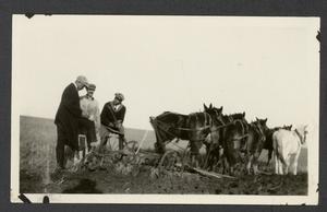 Farmers with Horse Team in Field