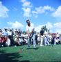 Primary view of Arnold Palmer