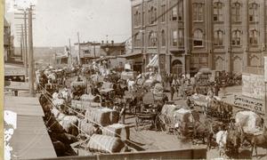 Cotton Market in Guthrie